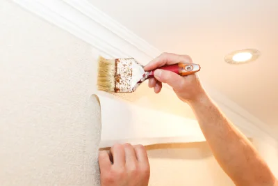 Pose de papier peint à Chatte — revêtements muraux et toiles de verre